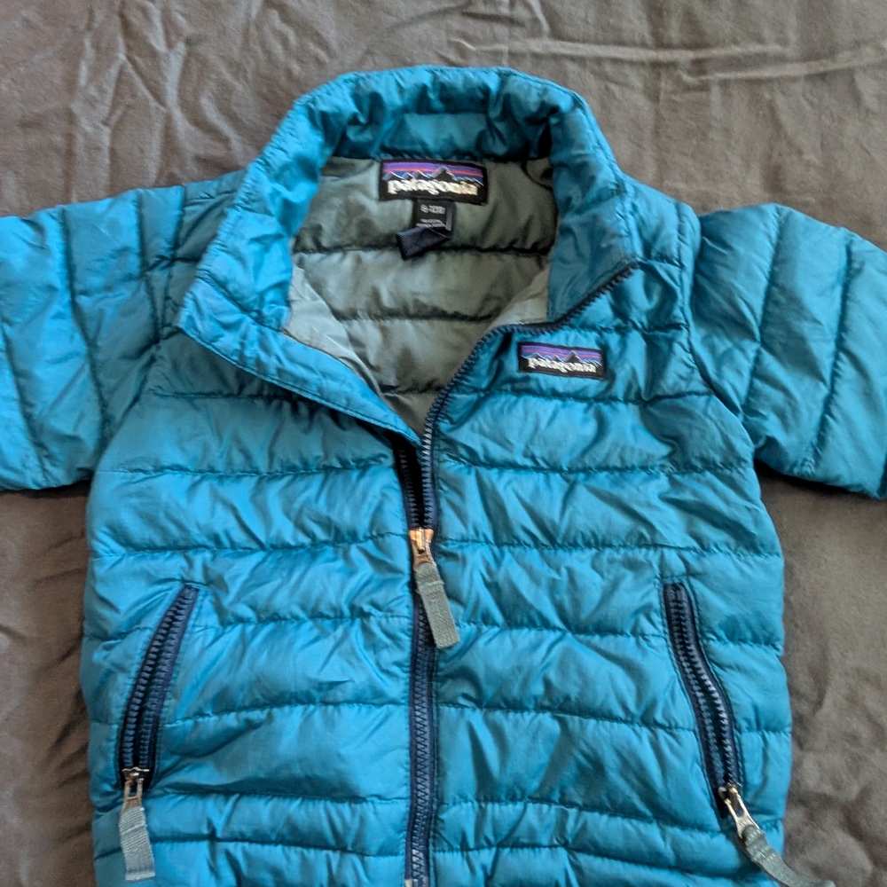 Patagonia Blue Puffer Jacket